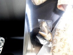gene striking gold shoes